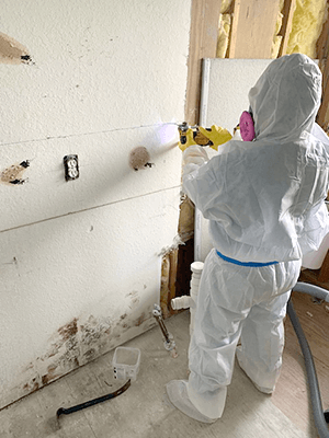 Naples-FL-Breathing-Issues-After-Reno-Mold-2.png