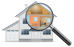 Can I Stay In My House With Black Mold - Avalon Home Inspections