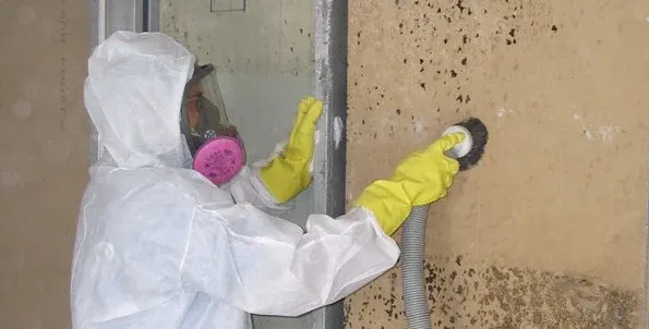 Mold removal technician working on moldy wall