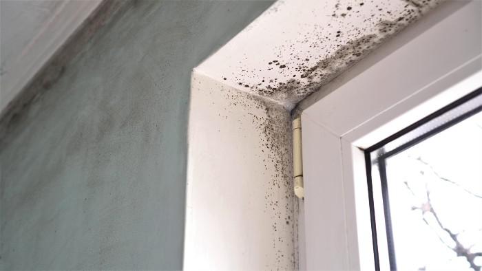 doorway-mold-corner.jpg