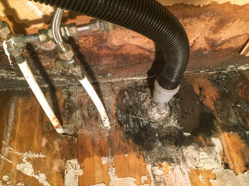 How To Deal With Mold Under The Kitchen Sink AdvantaClean   Moldyfloor 