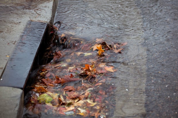 clogged-gutter-leaves