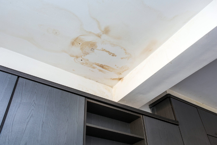 Mold on room ceiling