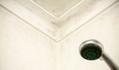 Black Dots On Your Bathroom Ceiling