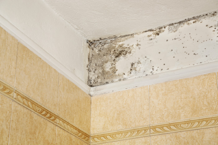 Mold on ceiling due to water leak