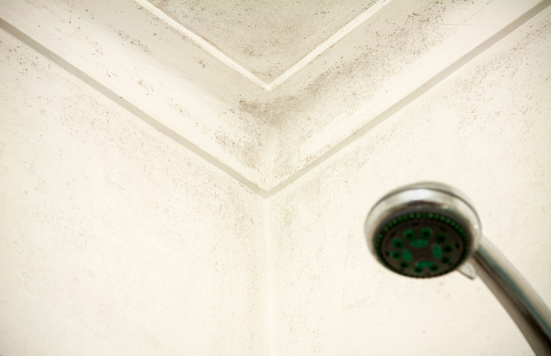 what-are-those-black-dots-on-your-bathroom-ceiling-advantaclean