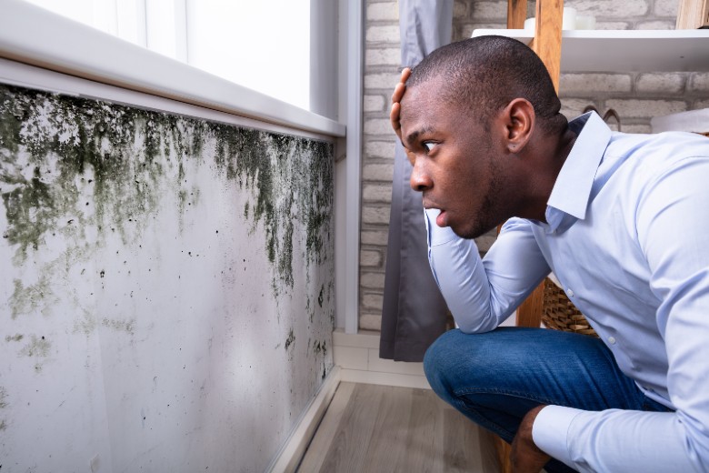 Mold growing in home