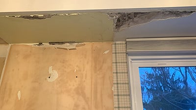 mold damage 