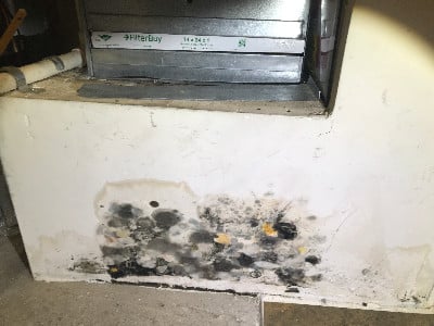 Mold on condo box