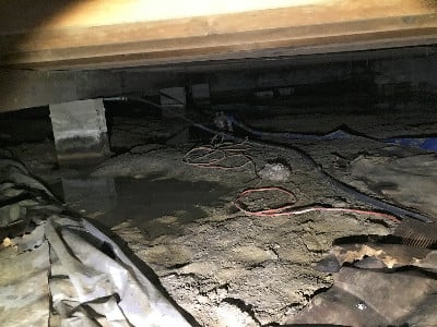 dirty crawlspace 