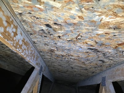 mold on wall 