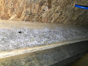 mold on wall 