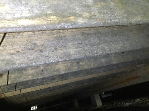 mold on wood 