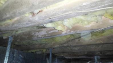 Dirty mold crawl space