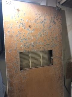 Mold due to water damage