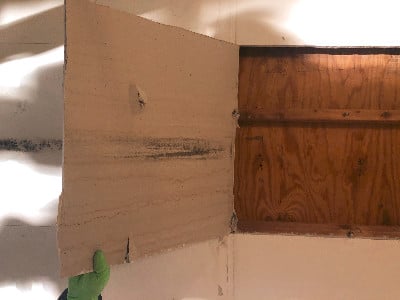 mold on wall 