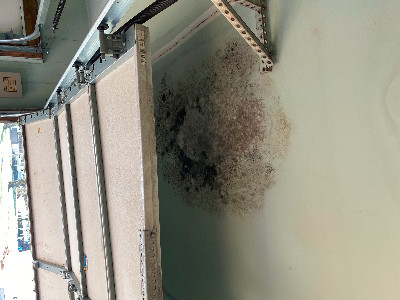 Mold in garage 