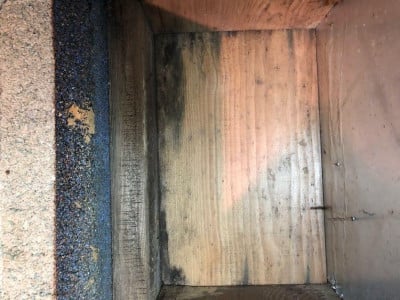 Mold growth on wood 