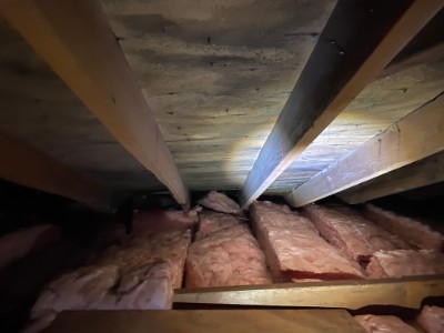 Mold in crawlspace