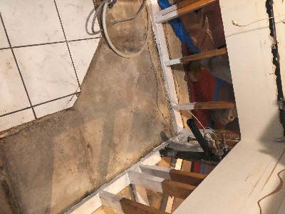 mold growth under tile