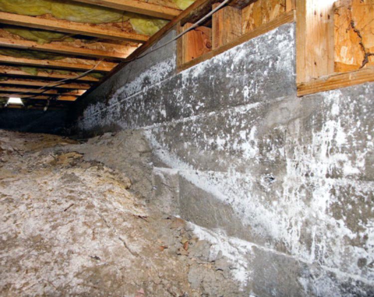 Crawl Space Sealing - Encapsulation Frequently Asked Questions ...