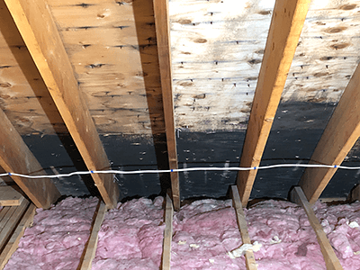 Black dirty mold in attic