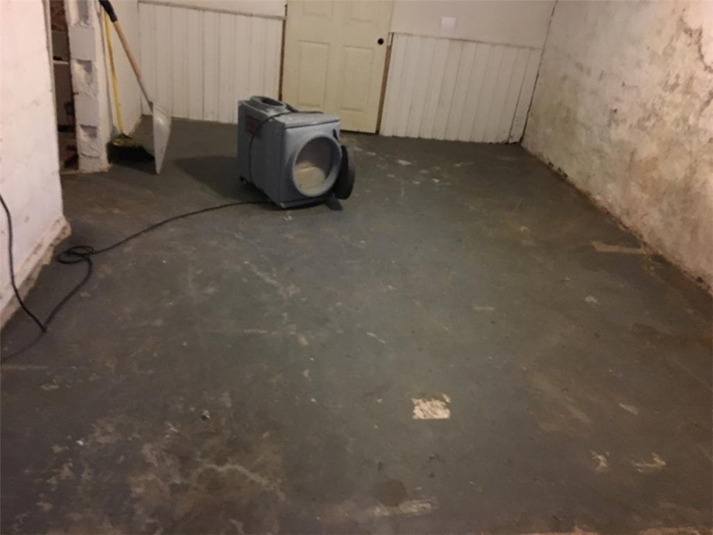 Mold removal in basement