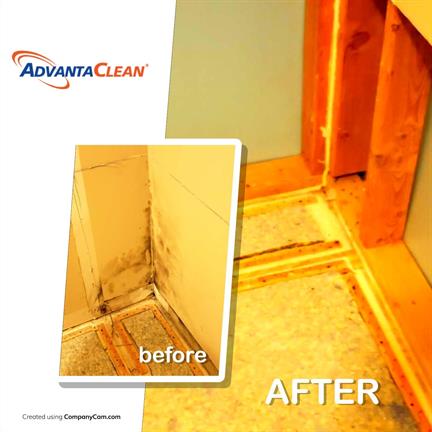 Moldy Closet cleaning before and after