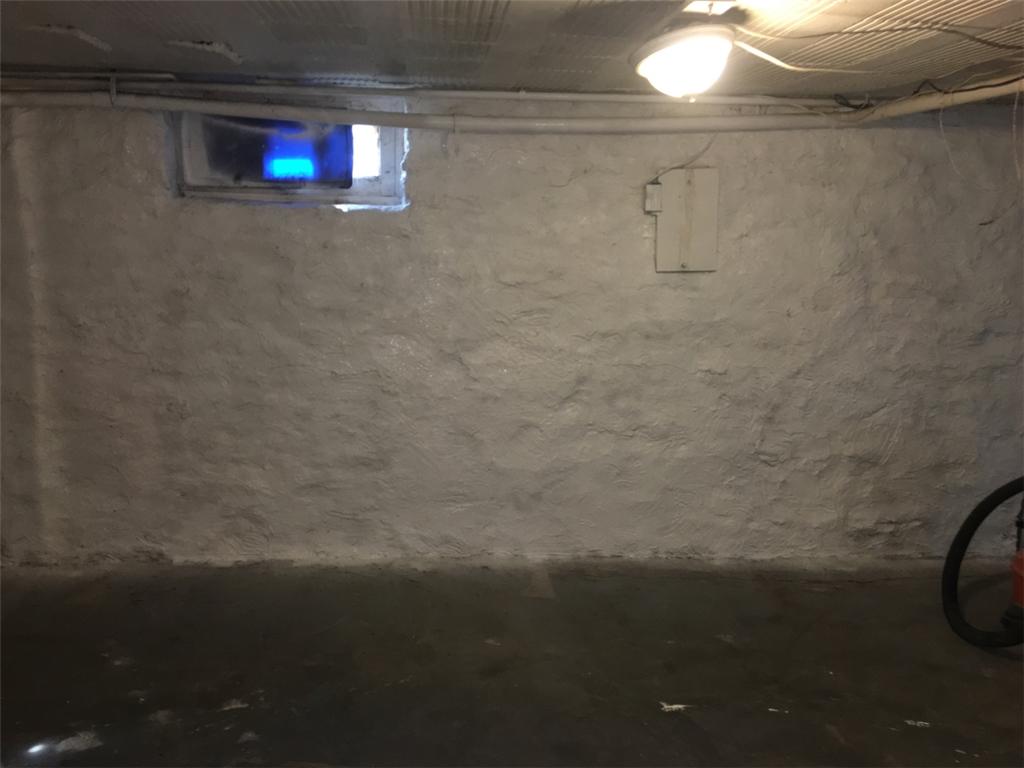 After cleaning mold in basement