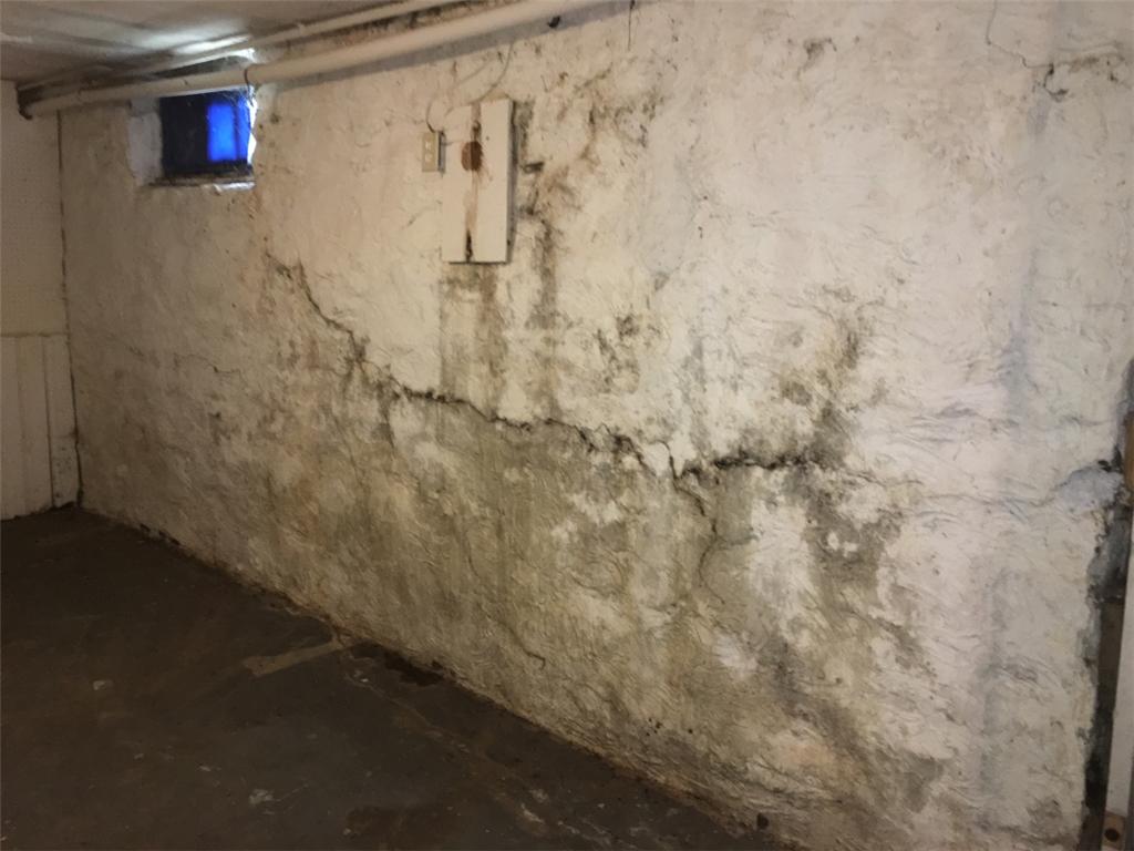 Cracks and mold on basement wall