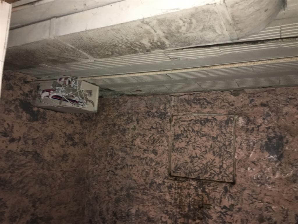 Dirty mold in basement