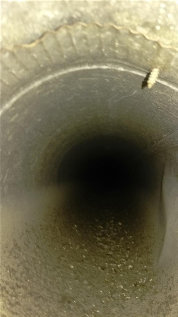 Before cleaning air duct