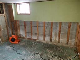 Mold removing