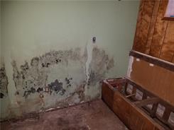 Mold in the basement