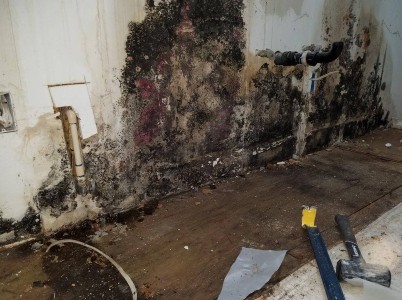 Mold growth due to water leak under kitchen sink