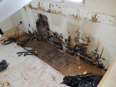 Dirty mold inside the home walls