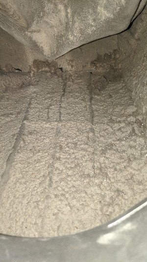 Dirty mold in air ducts