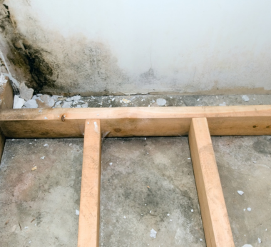 Basement Mold Remediation | AdvantaClean