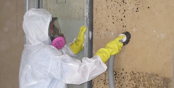 Removing mold from wall